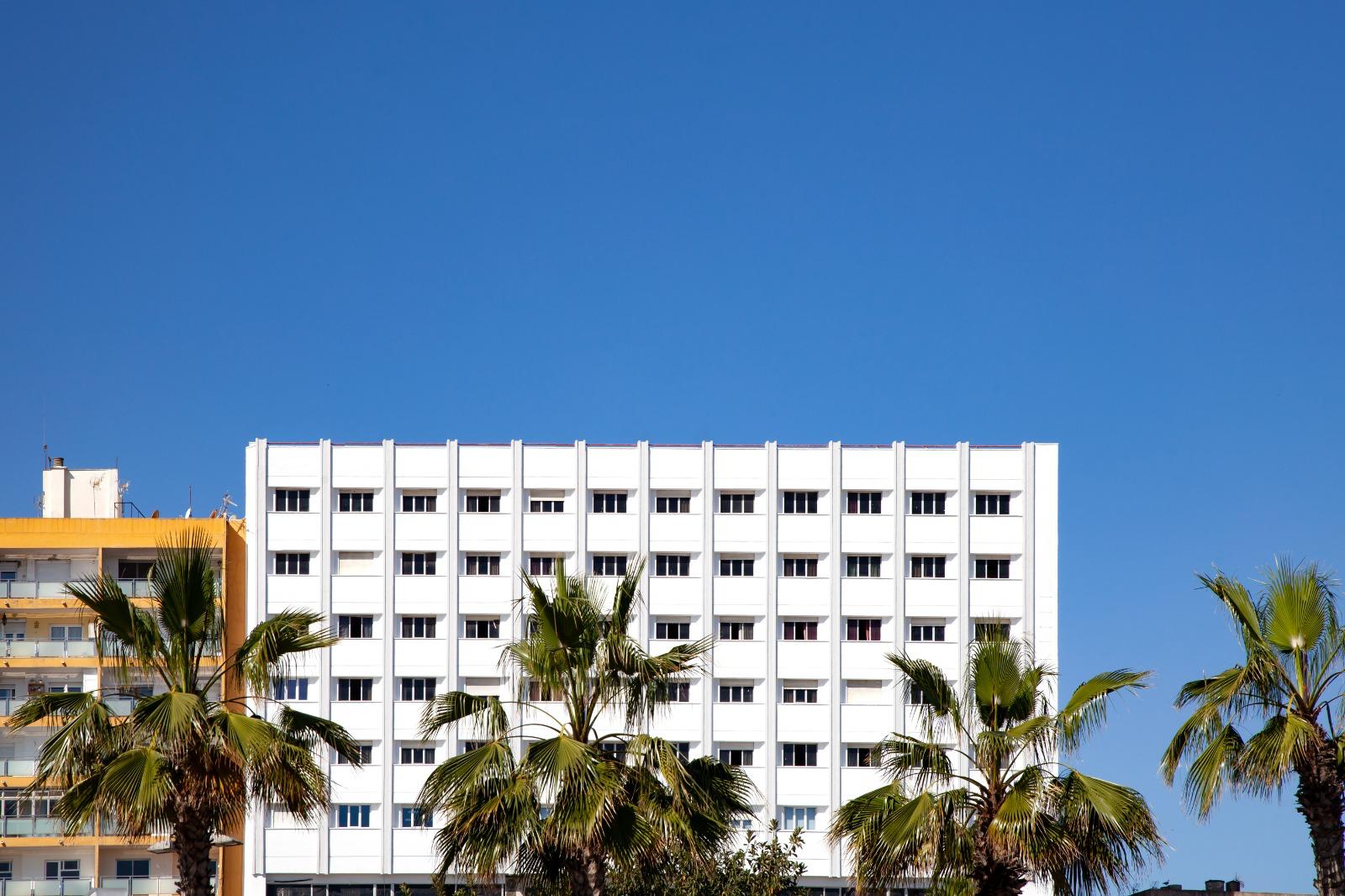 Edificio blanco con palmeras verdes